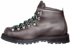 Danner Mountain Light Ii