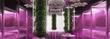 See all outdoor plants pots. Ikea S Experimental Garden For Urban Farming Agritecture