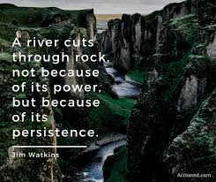 It is a river of information, not a river of bones and tissues. help us translate this quote. A River Cuts Through Rock Quote Quotes Words