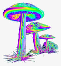 Trippy Png Images Transparent Trippy Image Download Pngitem 1024 x 592 png 842 кб. trippy png images transparent trippy