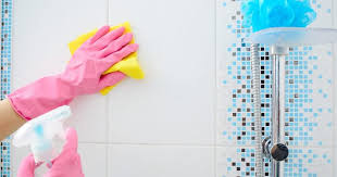 Bathroom Cleaning