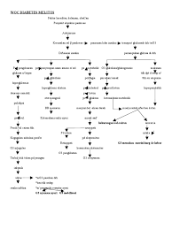 11 diabetes mellitus tipe 2. Woc Diabetes Melitus Pdf