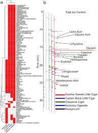 Maybe you would like to learn more about one of these? Little Cigars Are More Toxic Than Cigarettes And Uniquely Change The Airway Gene And Protein Expression Scientific Reports