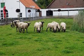 Trotzdem war es gestern vielen menschen aus der landwirtschaft ein großes bedürfnis, dr. Fotos Haus Riswick Landwirtschaftskammer Nrw
