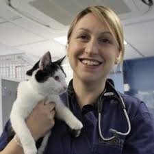 GPCert/PgC Small Animal Medicine Online Learning