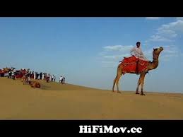 Feel the real rajasthan with exciting and thrilling camel safari rides. Camel Ride In The Thar Desert Of Rajasthan India From Camel Rajasthan Watch Video Hifimov Cc