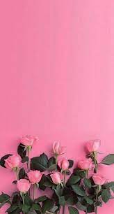 35 Free Cute Pink Wallpapers For Iphone That You Ll Love I was looking for a neat pink apple wallpaper and couldnt find any! 35 free cute pink wallpapers for iphone
