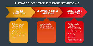 signs of lyme disease tick borne diseases tick protection