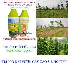 Pass root 200SL