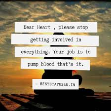 We did not find results for: 50 Heart Touching Sad Status And Photo Captions You Should Try