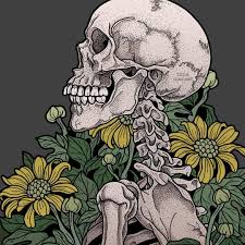 679 Me Gusta 15 Comentarios Tiina Menzel Therese Nothing En Instagram Skulldrawing Skull Art Skull Art Funny Art