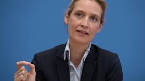 Explore tweets of alice weidel @alice_weidel on twitter. Afd Spitzenkandidatin Alice Weidel Wir Schaffen Anreize Fur Eine Schlepperindustrie Archiv