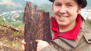 Das ist Mellens erste Försterin seit 70 Jahren