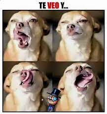 Me Vuelves Memes Chistes Chistesmalos Imagenesgraciosas Humor Www Megamemeces C Memes Graciosos Imagenes Divertidas Imagenes Graciosas