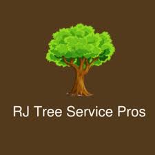 What happens to a grove of young pine trees if you may be able to avoid cutting down the tree, by having it trimmed to let more light onto the lawn, but even this is expensive and dangerous to do yourself. How Much Does It Cost To Cut Down A 50 Foot Pine Tree Tree Service Durham Pros