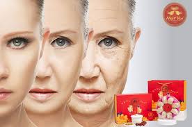 Tác Dụng Của Yến Chưng là gì? Yến Chưng Với Gì Tốt Nhất?