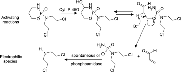 Image result for Cyclophosphamide