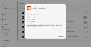 Please see our article here for solutions: Creative Cloud Bug Fix Arrives For Macos Big Sur Users 9to5mac