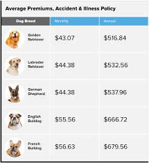 It's relatively common to pay around £45 a month for dog insurance, but the cheapest cover costs closer to £22 a month. What Pet Insurance Costs Money
