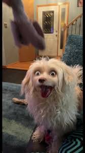 Penny Shook's Instagram, Twitter & Facebook