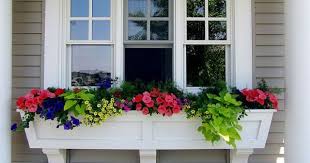 Talking about flower box and window box, these two gardening methods are visually and basically take for instance, the flower box and the window box, it is are rectangular in shape, can be made of. 12 Best Plants Flowers For Window Boxes Partial Sun