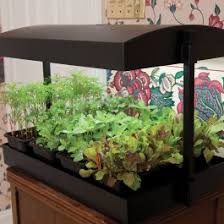 Check spelling or type a new query. Grow Light Garden And Accessories Tools Accessories Veseys