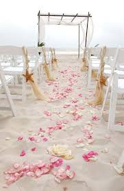When it comes time to choose your dress, keep in mind that you want a design that looks like it fits in with the beach theme. This Is Perfect Get Some Simple Fold Out Chairs Flowers Instead Of A Rug And I Nice But Beach Wedding Pink Beach Wedding Reception Beautiful Beach Wedding