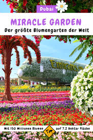 Der Miracle Garden In Dubai Ist Der Weltweit Grosste Blumengarten Uber 150 Millionen Blumen Und Grunpflanzen Erwa Dubai Dubai Miracle Garden Biologischer Anbau