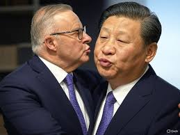 Penny Wong has just signed all of us to the World Health Organization's  Global Pandemic Agreement!