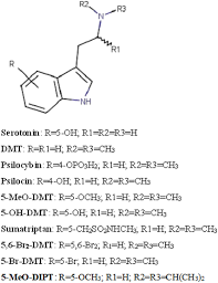 However, it does not define what constitutes an emergency. Overview Of The Major Classes Of New Psychoactive Substances Psychoactive Effects Analytical Determination And Conformational Analysis Of Selected Illegal Drugs