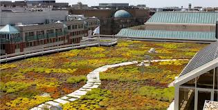 Create Your Own Diy Green Roofs Green Roof Garden Extensive Green Roof Green Roof Building