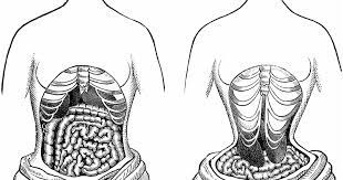 This is done by wearing a device called a waist trainer. What Is A Waist Trainer Do They Work Girls Gone Strong