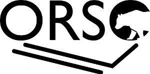 The 8th Annual Meeting of ORSO
