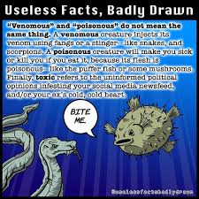 From the type of music that can ward off mosquitoes to the shocking food you can turn into diamonds, you'll love learning these useless facts. Funny Useless Facts