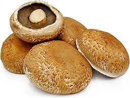 Agaricus bisporus is an edible basidiomycete mushroom native to grasslands in europe and north america. Namdhari S Fresh Portobello Mushrooms 200 G Amazon In Grocery Gourmet Foods