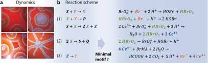 Balancing chemical equations worksheets with answers equation chemistry worksheet 2 promotiontablecovers moercar mr durdel s 33 project list jpg 463 600 just google balance worksh answer key name date the following 1 l sici4 i a h200 si02 lhckaq course hero 25 tessshlo 19 sample. Bjoc Grip On Complexity In Chemical Reaction Networks
