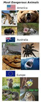 Most Dangerous Animals Sealed The Deal On Moving Dangerous Animals Funny Pictures Funny