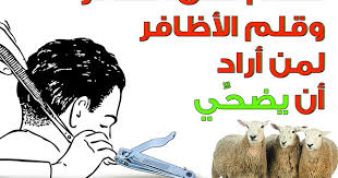 لان لهم فائدة عديدة منها. Ø­ÙƒÙ… Ù‚Øµ Ø§Ù„Ø´Ø¹Ø± ÙˆØ§Ù„Ø§Ø¸Ø§ÙØ± Ù„Ù„Ù…Ø¶Ø­ÙŠ Ù…Ø§ Ù‡Ùˆ Ø­ÙƒÙ… Ù‚Øµ Ø§Ù„Ø´Ø¹Ø± Ù„Ù„Ù…Ø¶Ø­ÙŠ Ø±Ù‡ÙŠØ¨Ù‡