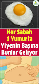 Her Gun 1 Yumurta Yiyenin Basina Bunlar Geliyor Yumurta Saglik Sifa Dogal Organik Kadin Kemik Erime P Keto Diet For Beginners Diy Beauty Recipes Diet