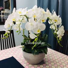 We did not find results for: Cik Wan Kitchen December 2018