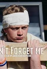 Don't Forget Me (2016)