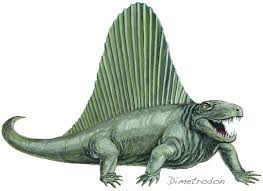 Image result for Dimetrodon