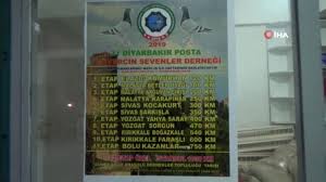 Malatya Dan Salinacak Kuslardan Diyarbakir A Ulasanin Nesli Koruma Altina Alinacak Haberler