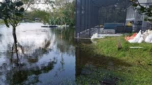 Longwood residents say homes dry after Hurricane Irma now in danger