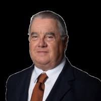 200+ perfiles de «Bisby»