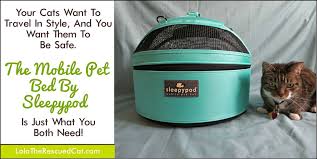 We did not find results for: Your Cat Will Travel In Style And Safety With The Sleepypod Mobile Pet Bed And A Giveaway Lola The Rescued Cat
