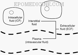 Image result for Edema Exam