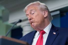 Taco, taco man ... lolz #cdnpoli Trump-Greenland latest: US president's  flight to Davos turns back over 'electrical issue'