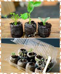 Expanding Seed Starting Soil Pods Seed Starting Soil Seeds Seed Starting