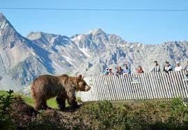 Check spelling or type a new query. Ihr Besuch Arosa Barenland